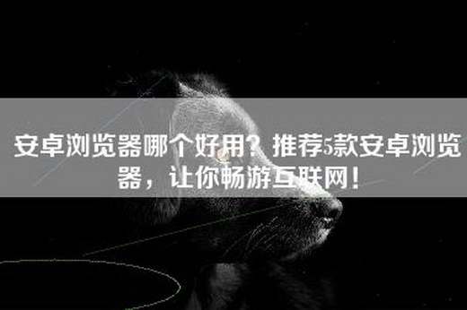 安卓浏览器哪个好用？推荐5款安卓浏览器，让你畅游互联网！