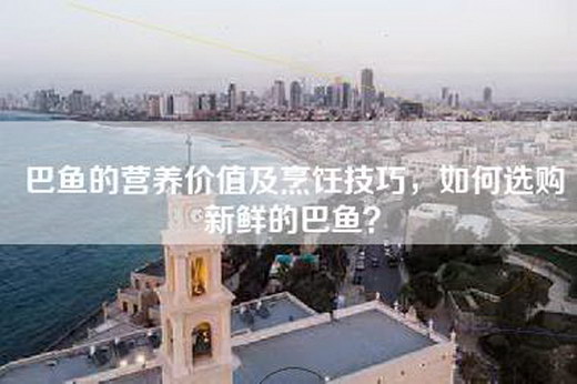 巴鱼的营养价值及烹饪技巧，如何选购新鲜的巴鱼？