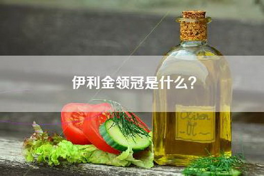 伊利金领冠是什么？