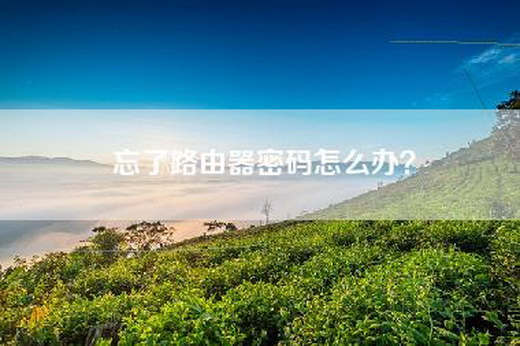 忘了路由器密码怎么办？
