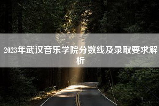2023年武汉音乐学院分数线及录取要求解析