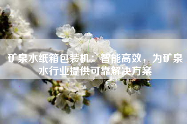 矿泉水纸箱包装机：智能高效，为矿泉水行业提供可靠解决方案