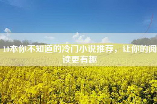 10本你不知道的冷门小说推荐，让你的阅读更有趣