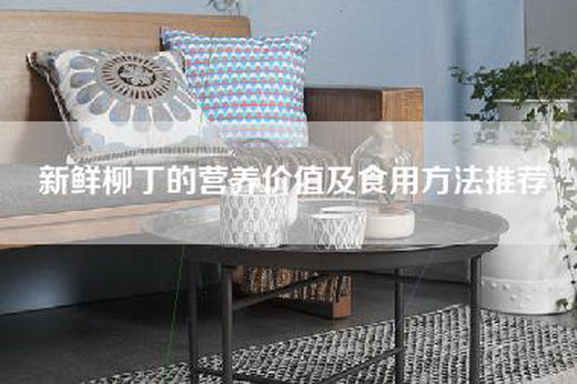 新鲜柳丁的营养价值及食用方法推荐