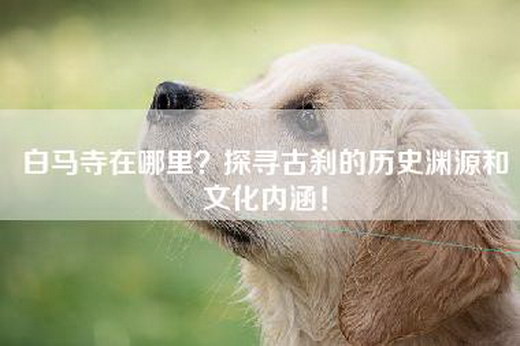 白马寺在哪里？探寻古刹的历史渊源和文化内涵！