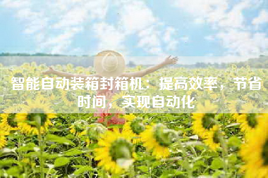 智能自动装箱封箱机：提高效率，节省时间，实现自动化