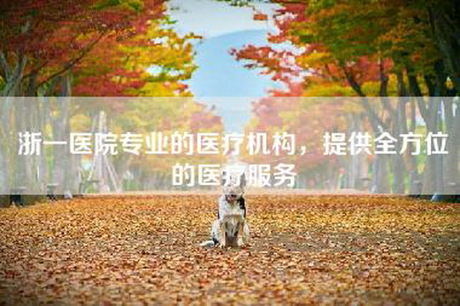浙一医院专业的医疗机构，提供全方位的医疗服务