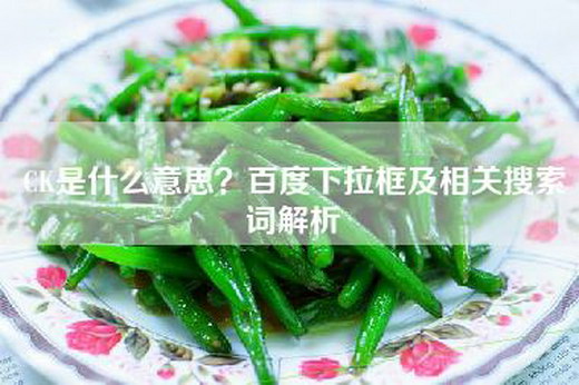 CK是什么意思？百度下拉框及相关搜索词解析