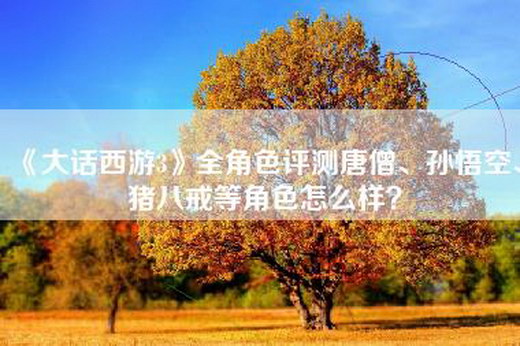 《大话西游3》全角色评测唐僧、孙悟空、猪八戒等角色怎么样？