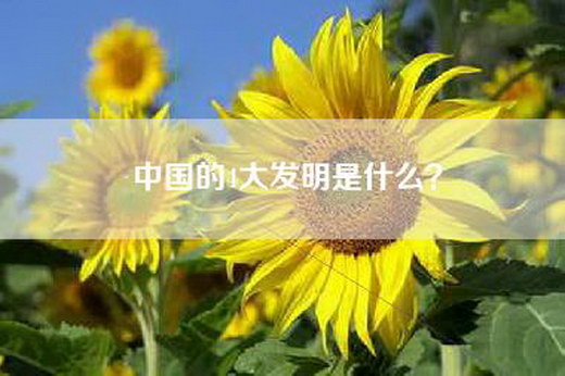 中国的4大发明是什么？
