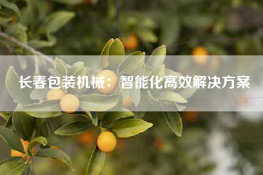 长春包装机械：智能化高效解决方案