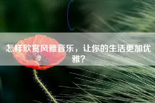 怎样欣赏风雅音乐，让你的生活更加优雅？
