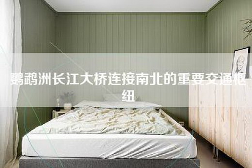 鹦鹉洲长江大桥连接南北的重要交通枢纽