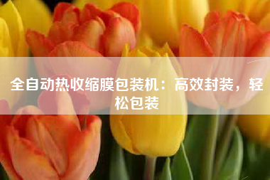 全自动热收缩膜包装机：高效封装，轻松包装