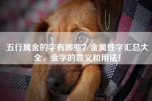 admin