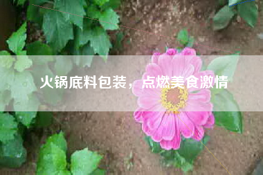 火锅底料包装，点燃美食激情