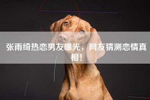 张雨绮热恋男友曝光，网友猜测恋情真相！