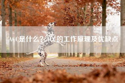 ACC是什么？ACC的工作原理及优缺点