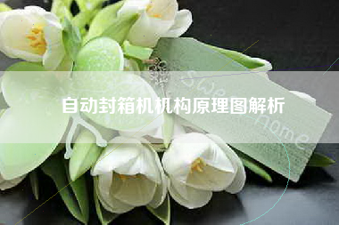 自动封箱机机构原理图解析