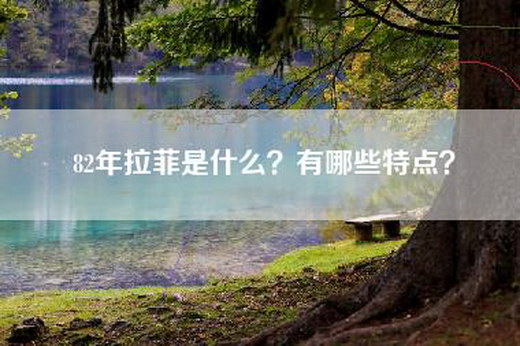 82年拉菲是什么？有哪些特点？