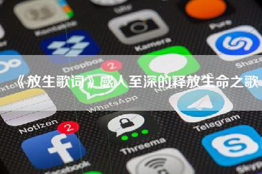 《放生歌词》感人至深的释放生命之歌