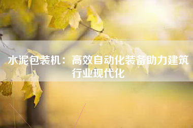 水泥包装机：高效自动化装备助力建筑行业现代化