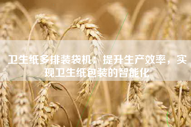 卫生纸多排装袋机：提升生产效率，实现卫生纸包装的智能化