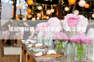 纸箱贴标机：在线标贴，高效便捷
