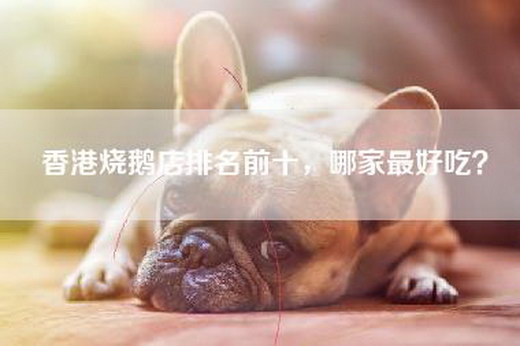 香港烧鹅店排名前十，哪家最好吃？