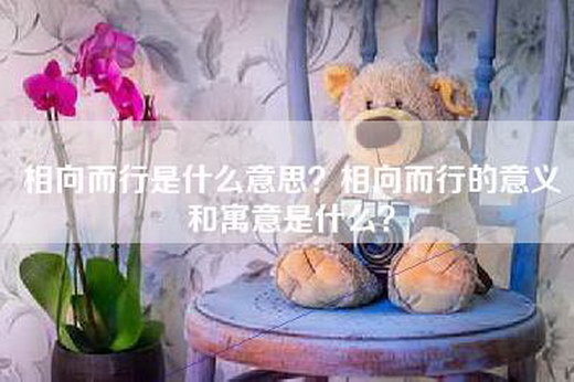 相向而行是什么意思？相向而行的意义和寓意是什么？