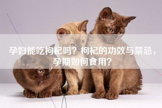 孕妇能吃枸杞吗？枸杞的功效与禁忌，孕期如何食用？