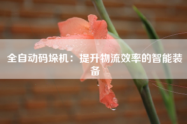 全自动码垛机：提升物流效率的智能装备