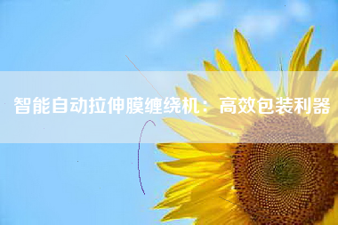 智能自动拉伸膜缠绕机：高效包装利器