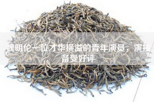 魏明伦一位才华横溢的青年演员，演技备受好评