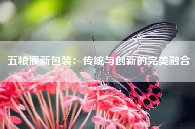 五粮液新包装：传统与创新的完美融合