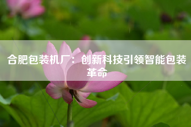 合肥包装机厂：创新科技引领智能包装革命