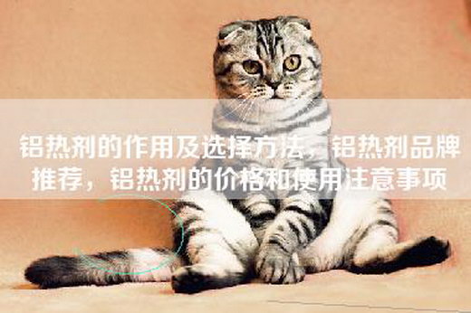 铝热剂的作用及选择方法，铝热剂品牌推荐，铝热剂的价格和使用注意事项