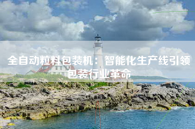 全自动粒料包装机：智能化生产线引领包装行业革命