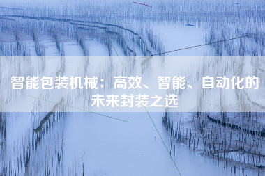 智能包装机械：高效、智能、自动化的未来封装之选