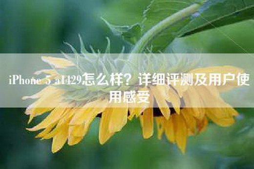 iPhone 5 a1429怎么样？详细评测及用户使用感受