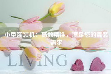 小型灌装机：高效精准，满足您的灌装需求