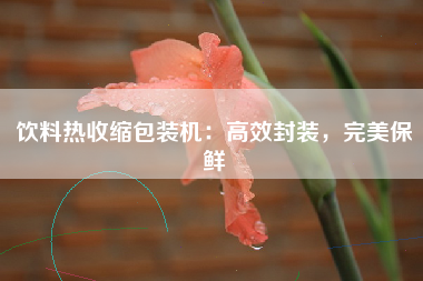 饮料热收缩包装机：高效封装，完美保鲜