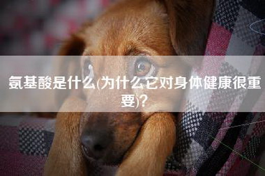 admin