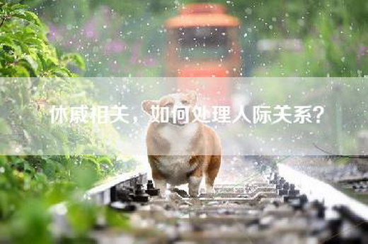 休戚相关，如何处理人际关系？