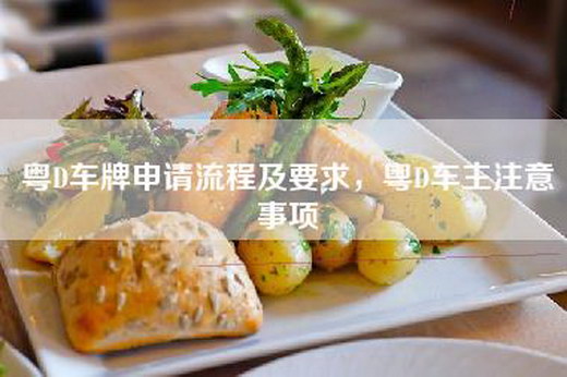 粤D车牌申请流程及要求，粤D车主注意事项