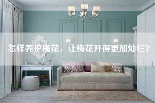 怎样养护梅花，让梅花开得更加灿烂？