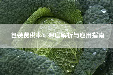 包装费税率：深度解析与应用指南