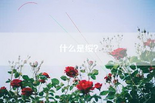 什么是绥？
