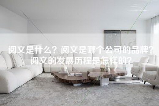 阅文是什么？阅文是哪个公司的品牌？阅文的发展历程是怎样的？