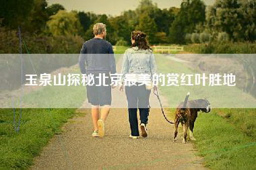玉泉山探秘北京最美的赏红叶胜地
